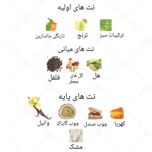  ادکلن مردانه 313 سکستی روونا