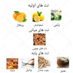 ادکلن زنانه الین روونا