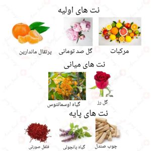  ادکلن زنانه فلاور روونا 