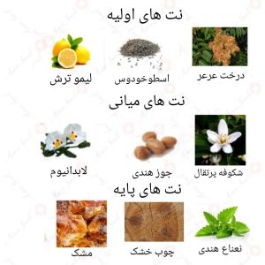 ادکلن زنانه گلتی روونا