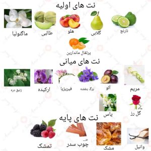  ادکلن زنانه جادوکس روونا