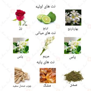 ادکلن زنانه لالینگ لامور روونا
