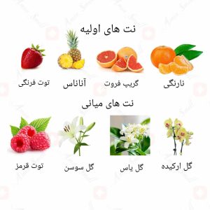 ادکلن زنانه سکرت بمباستیک روونا 