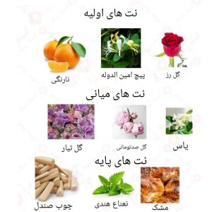 ادکلن زنانه وُمن روونا