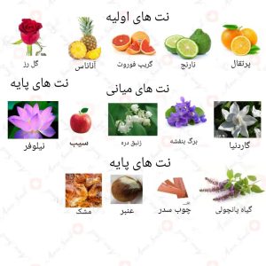 ادکلن زنانه زون روونا