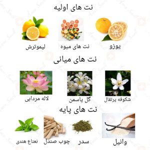  ادکلن زنانه ترسینگ دونا روونا 