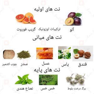 ادکلن مردانه وان بیلیون روونا