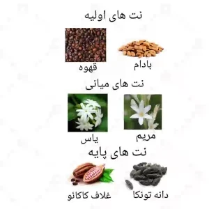 ادکلن زنانه آتوسا روونا 