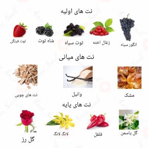  ادکلن زنانه آمیتیکتا روونا 