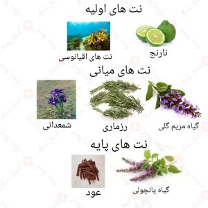 ادکلن مردانه آکواتیک د ریو روونا