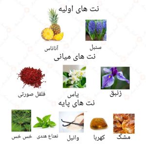  ادکلن زنانه آسینتو روونا