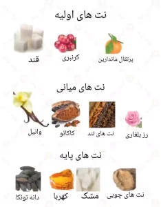  ادکلن زنانه بیلی آیلیش روونا 