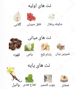  ادکلن زنانه بلک اپیوم روونا