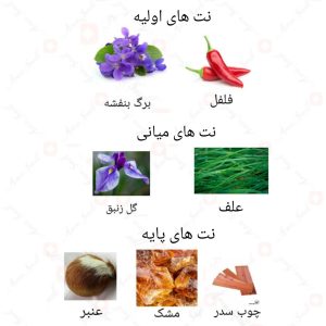 ادکلن مردانه بلک وودز روونا
