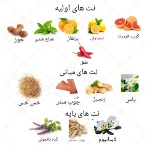 ادکلن مردانه بلوم د چنج روونا