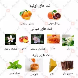 ادکلن زنانه کاساندان روونا 