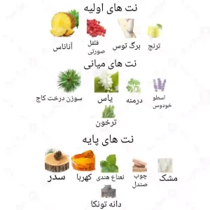 ادکلن مردانه سیروس د گریت هگمتانه روونا 