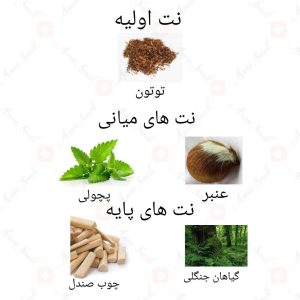 ادکلن مردانه کاپیتان نویر روونا