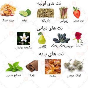 ادکلن زنانه کریتر لِ پارتنر روونا