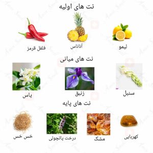 ادکلن زنانه چنسی د پور فمه روونا 