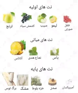 ادکلن مردانه کرست ادونچر روونا 