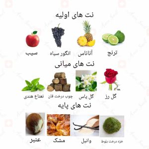 ادکلن یونیسکس کرست سیلور روونا