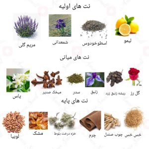  ادکلن مردانه دانتینگ قهوه ای روونا