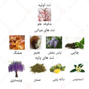 ادکلن زنانه اکلایر دی پورپل روونا 