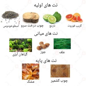 ادکلن مردانه انکاگ نویر اکستریم روونا