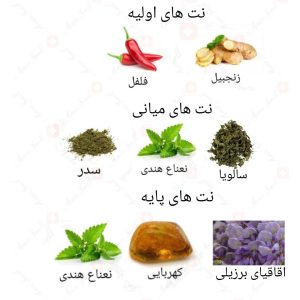 ادکلن مردانه ایفوریت روونا 