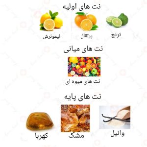  ادکلن یونیسکس ارپورا روونا