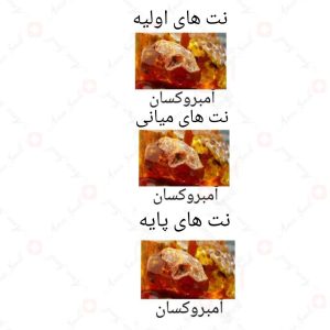 ادکلن مردانه اسنس بیست روونا