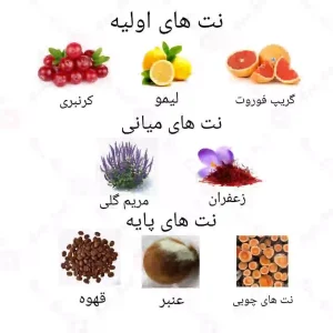  ادکلن‌ زنانه فلور نارکو روونا