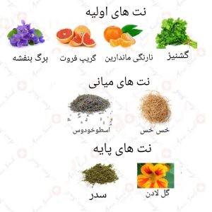 ادکلن مردانه جیونس روونا 