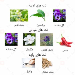  ادکلن زنانه هلو ومن روونا 