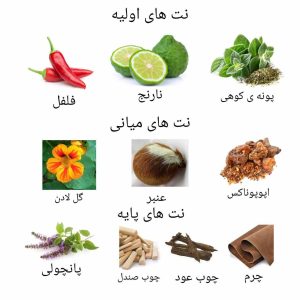 ادکلن مردانه اینترپل روونا