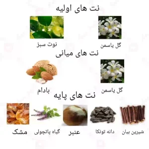 ادکلن زنانه جاسمین روونا 