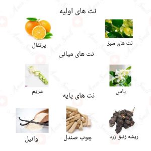 ادکلن زنانه جوشی بلوم روونا