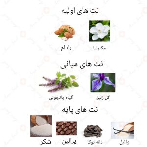 ادکلن زنانه لا ایو ست بلز روونا