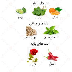 ادکلن مردانه لاکونیک اسنتریک روونا