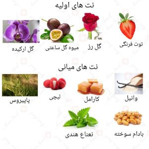 ادکلن زنانه نایت تیسور روونا