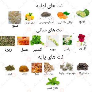 ادکلن مردانه لیدرشیپ فور من روونا