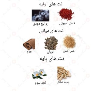  ادکلن مردانه لایو سون روونا 