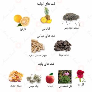 ادکلن مردانه مینت بلک لیجن روونا 