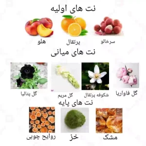  ادکلن زنانه نارکوتیکو پودری روونا