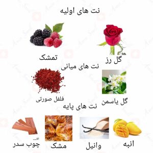 ادکلن زنانه نایت رز روونا 