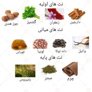 ادکلن مردانه نویر آمبر روونا