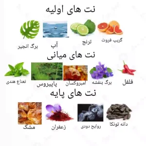  ادکلن مردانه پلو رد اکسپرت روونا