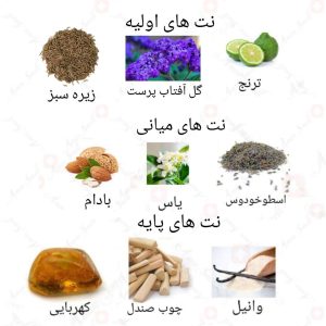 ادکلن مردانه پیگاسیس روونا