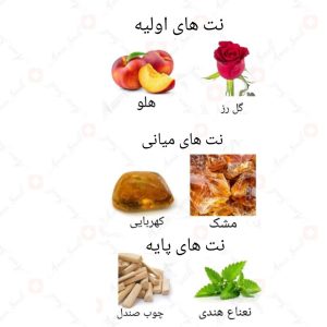 ادکلن زنانه رودینگ روونا